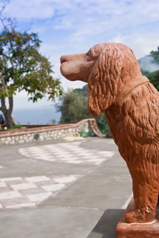 Suite Villa Carolina Capri Zewnętrze zdjęcie
